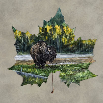 Kristy's Art Lone Buffalo 12" X 12"