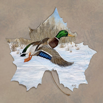 Kristy's Art Flying Duck 12" X 12"