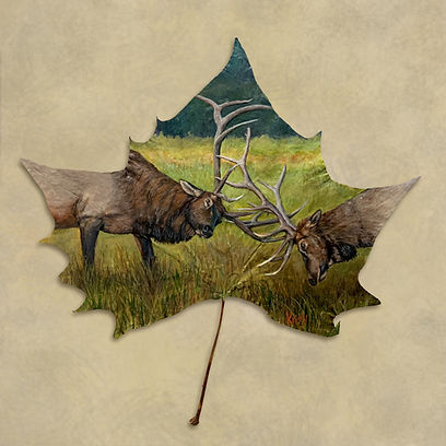 Kristy's Art Fighting Bulls 12" X 12"