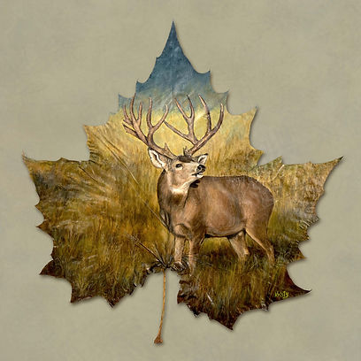 Kristy's Art Meadow Buck 12" X 12"